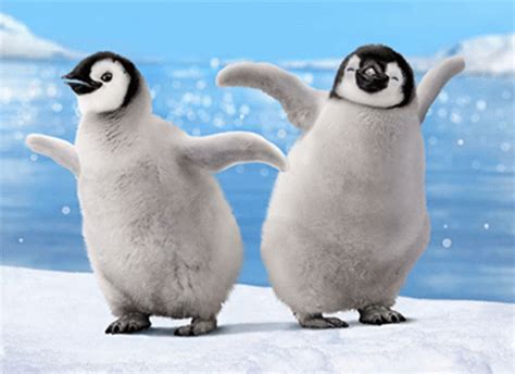 dancing penguin animated gif